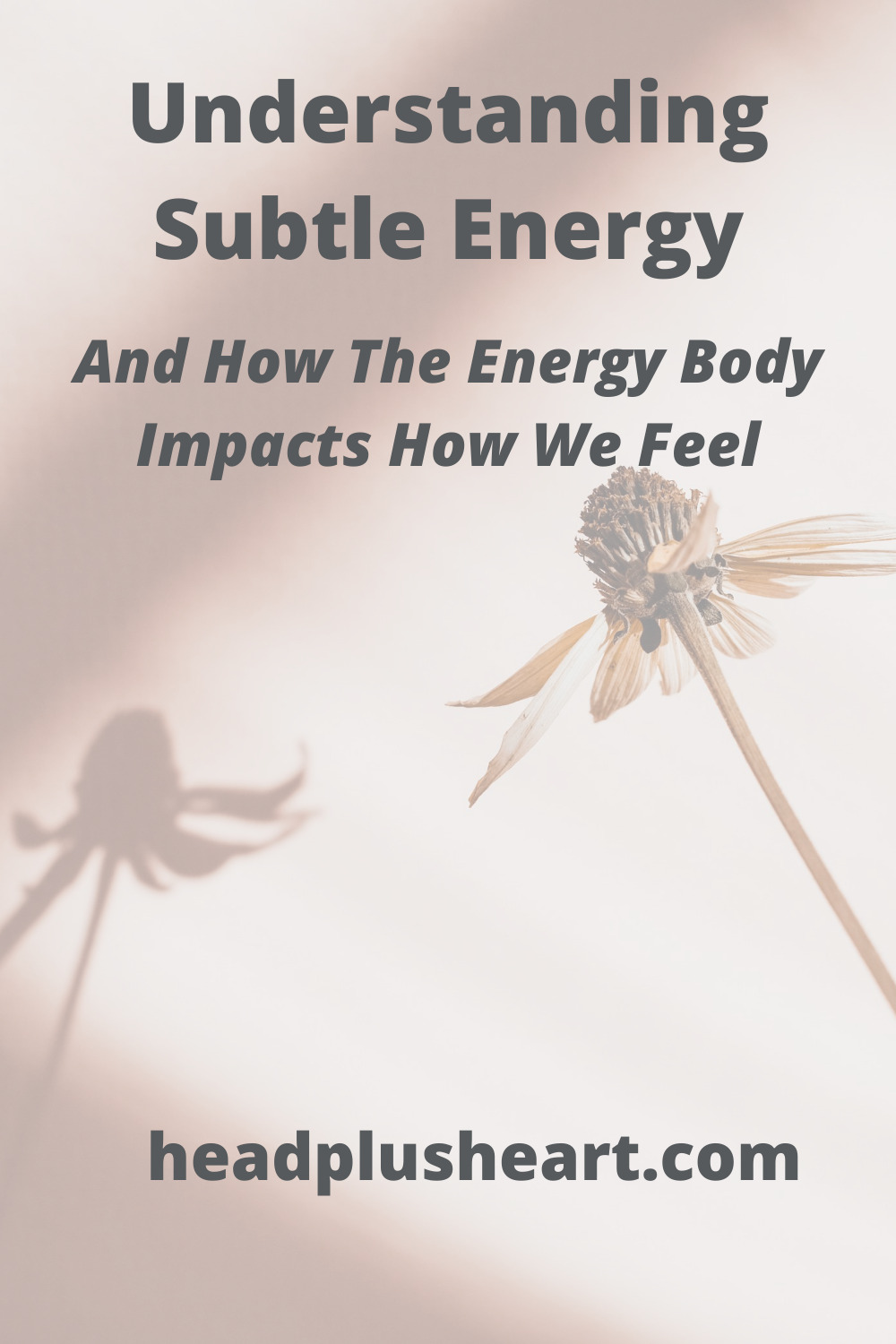Understanding Subtle Energy + How The Energy Body Impacts Our Well Being