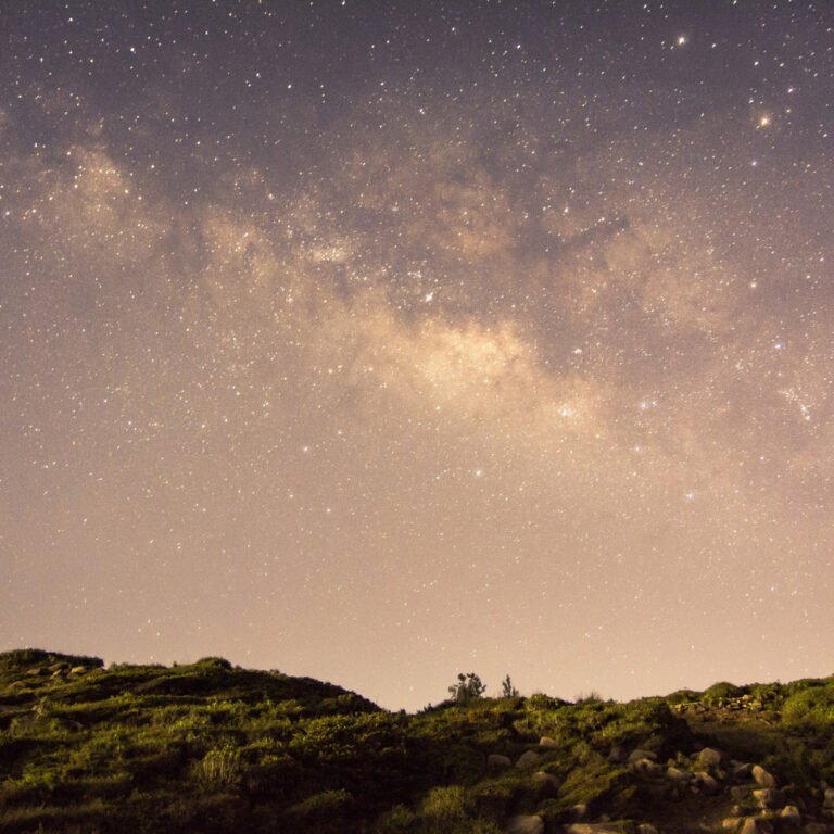 Animism as a spiritual path