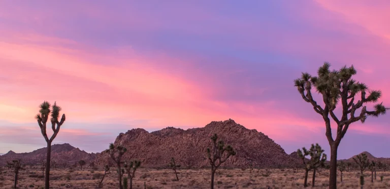 Head + Heart Fall Retreats and Experiences Guide