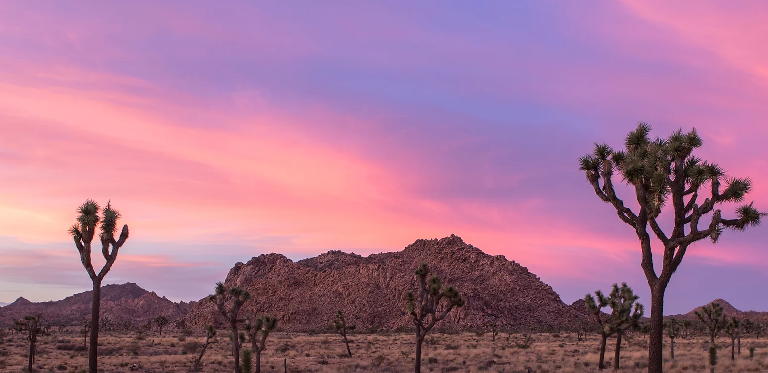 Head + Heart Fall Retreats and Experiences Guide